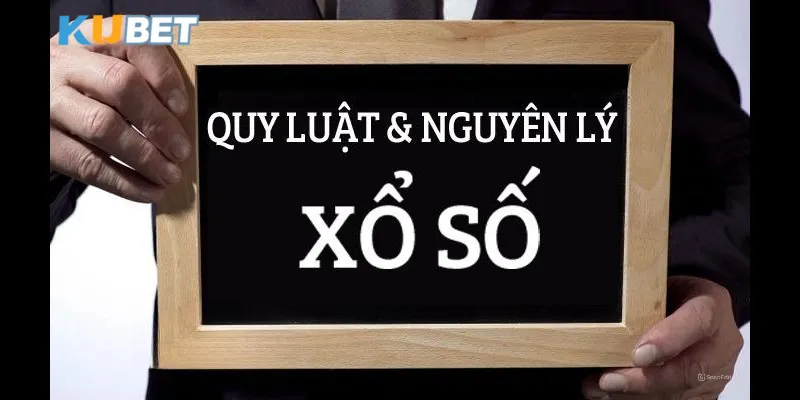 hieu-sau-duoc-quy-luat-xo-so