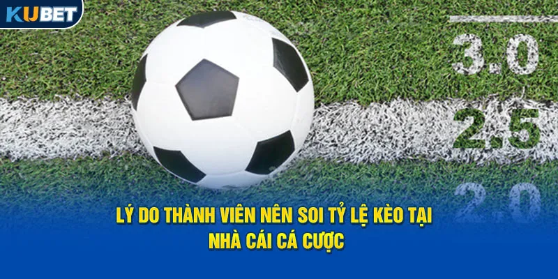 ly-do-thanh-vien-nen-soi-ty-le-keo-tai-nha-cai-ca-cuoc