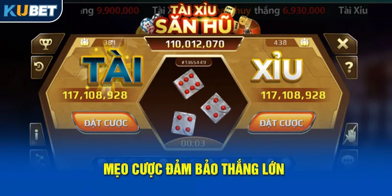 Mẹo cược đảm bảo thắng lớn
