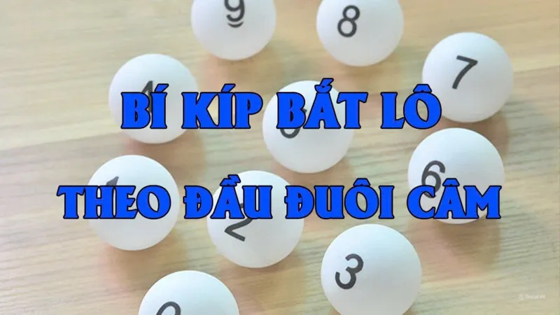 soi-bac-nho-lo-de-kubet6-mien-bac-theo-dau-duoi-cam