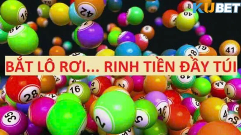soi-cau-bang-co-che-lo-roi