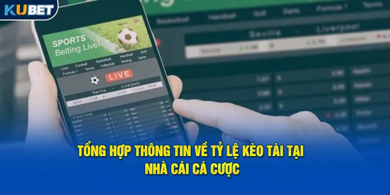 tong-hop-thong-tin-ve-ty-le-keo-tai-tai-nha-cai-ca-cuoc